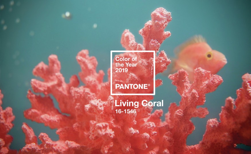 Цвят на 2019 година -  Жив корал